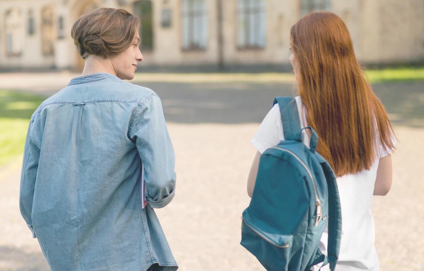 Software testing workflow documentation and analysis